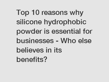 Top 10 reasons why silicone hydrophobic powder is essential for businesses - Who else believes in its benefits?