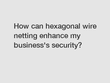 How can hexagonal wire netting enhance my business's security?