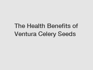 The Health Benefits of Ventura Celery Seeds