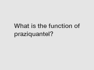 What is the function of praziquantel?