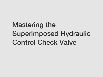 Mastering the Superimposed Hydraulic Control Check Valve