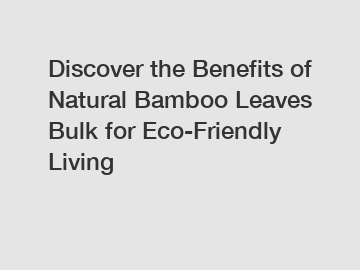 Discover the Benefits of Natural Bamboo Leaves Bulk for Eco-Friendly Living