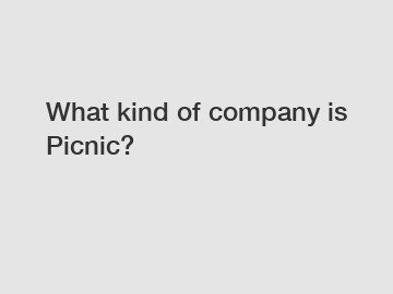 What kind of company is Picnic?