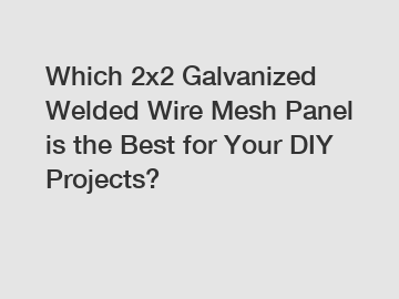 Which 2x2 Galvanized Welded Wire Mesh Panel is the Best for Your DIY Projects?