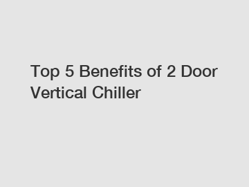 Top 5 Benefits of 2 Door Vertical Chiller
