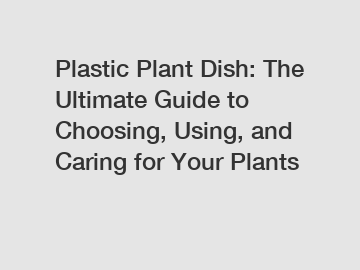 Plastic Plant Dish: The Ultimate Guide to Choosing, Using, and Caring for Your Plants