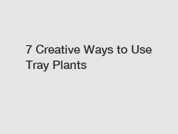 7 Creative Ways to Use Tray Plants