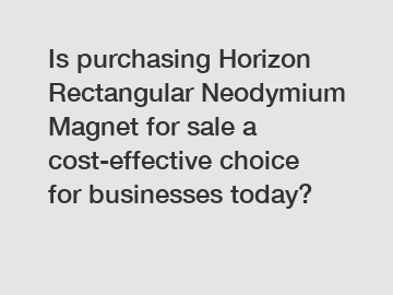 Is purchasing Horizon Rectangular Neodymium Magnet for sale a cost-effective choice for businesses today?