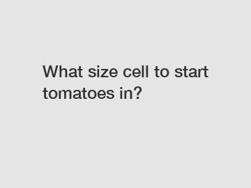 What size cell to start tomatoes in?