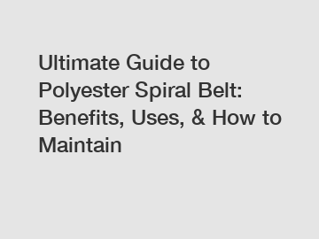 Ultimate Guide to Polyester Spiral Belt: Benefits, Uses, & How to Maintain