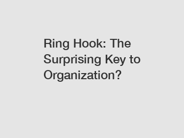 Ring Hook: The Surprising Key to Organization?