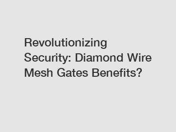 Revolutionizing Security: Diamond Wire Mesh Gates Benefits?