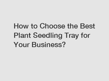 How to Choose the Best Plant Seedling Tray for Your Business?