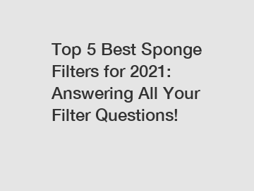 Top 5 Best Sponge Filters for 2021: Answering All Your Filter Questions!