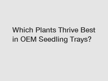 Which Plants Thrive Best in OEM Seedling Trays?