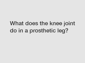 What does the knee joint do in a prosthetic leg?