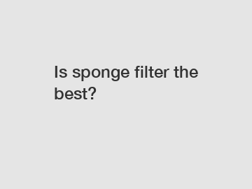 Is sponge filter the best?