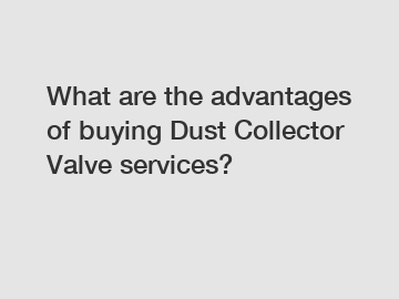 What are the advantages of buying Dust Collector Valve services?