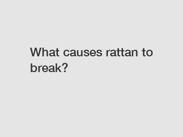 What causes rattan to break?