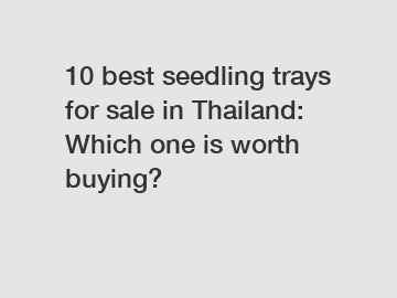 10 best seedling trays for sale in Thailand: Which one is worth buying?