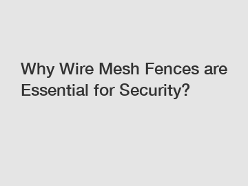 Why Wire Mesh Fences are Essential for Security?