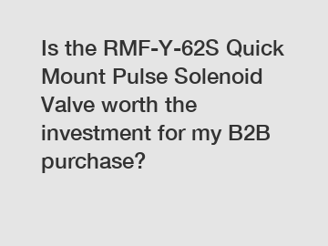 Is the RMF-Y-62S Quick Mount Pulse Solenoid Valve worth the investment for my B2B purchase?
