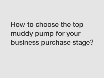 How to choose the top muddy pump for your business purchase stage?