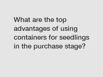 What are the top advantages of using containers for seedlings in the purchase stage?