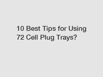 10 Best Tips for Using 72 Cell Plug Trays?