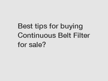 Best tips for buying Continuous Belt Filter for sale?