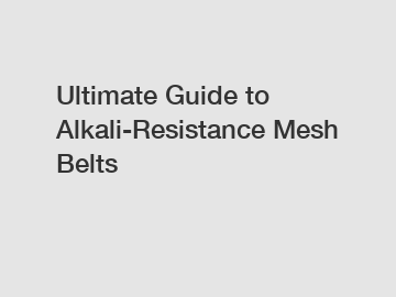 Ultimate Guide to Alkali-Resistance Mesh Belts
