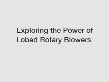 Exploring the Power of Lobed Rotary Blowers