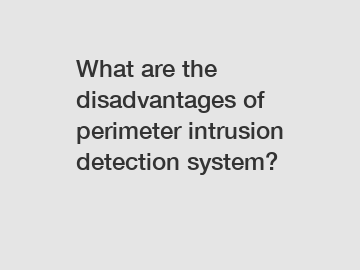 What are the disadvantages of perimeter intrusion detection system?