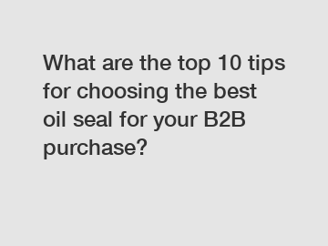What are the top 10 tips for choosing the best oil seal for your B2B purchase?
