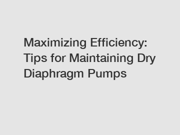 Maximizing Efficiency: Tips for Maintaining Dry Diaphragm Pumps