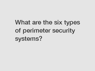 What are the six types of perimeter security systems?