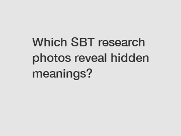 Which SBT research photos reveal hidden meanings?