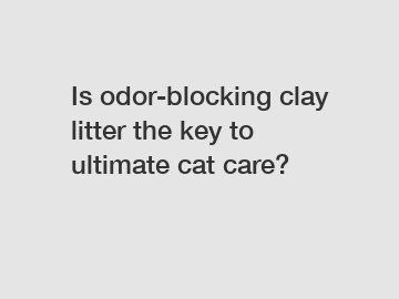 Is odor-blocking clay litter the key to ultimate cat care?