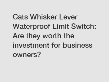 Cats Whisker Lever Waterproof Limit Switch: Are they worth the investment for business owners?