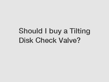 Should I buy a Tilting Disk Check Valve?