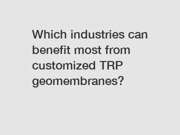 Which industries can benefit most from customized TRP geomembranes?