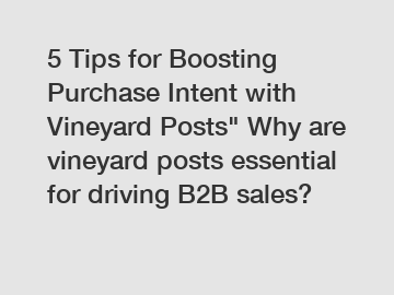 5 Tips for Boosting Purchase Intent with Vineyard Posts