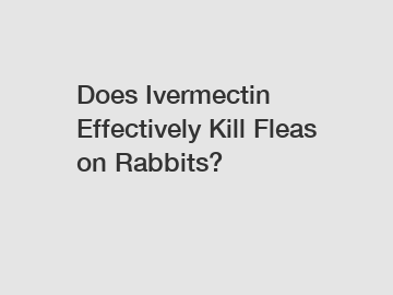 Does Ivermectin Effectively Kill Fleas on Rabbits?