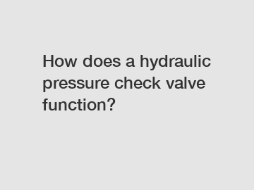 How does a hydraulic pressure check valve function?