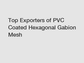 Top Exporters of PVC Coated Hexagonal Gabion Mesh