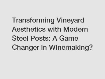 Transforming Vineyard Aesthetics with Modern Steel Posts: A Game Changer in Winemaking?