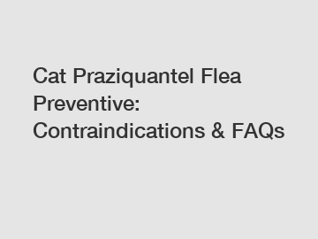 Cat Praziquantel Flea Preventive: Contraindications & FAQs