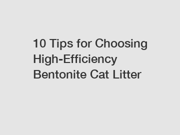 10 Tips for Choosing High-Efficiency Bentonite Cat Litter