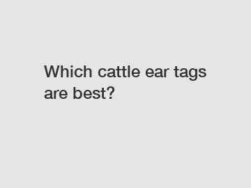 Which cattle ear tags are best?