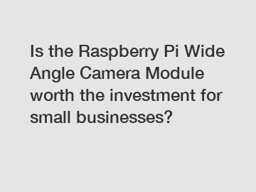 Is the Raspberry Pi Wide Angle Camera Module worth the investment for small businesses?